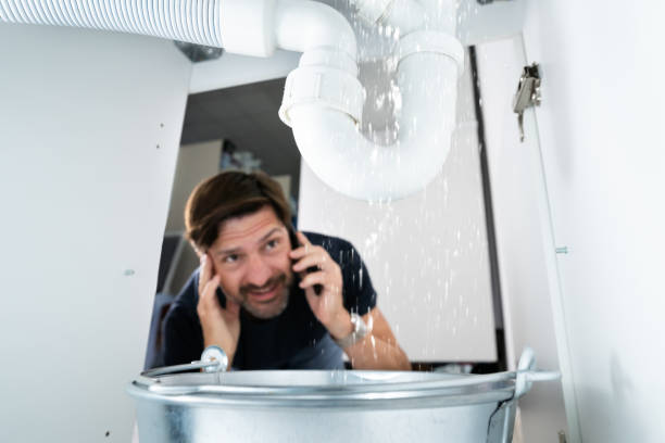 Best Local Plumber Services  in Dillon, SC